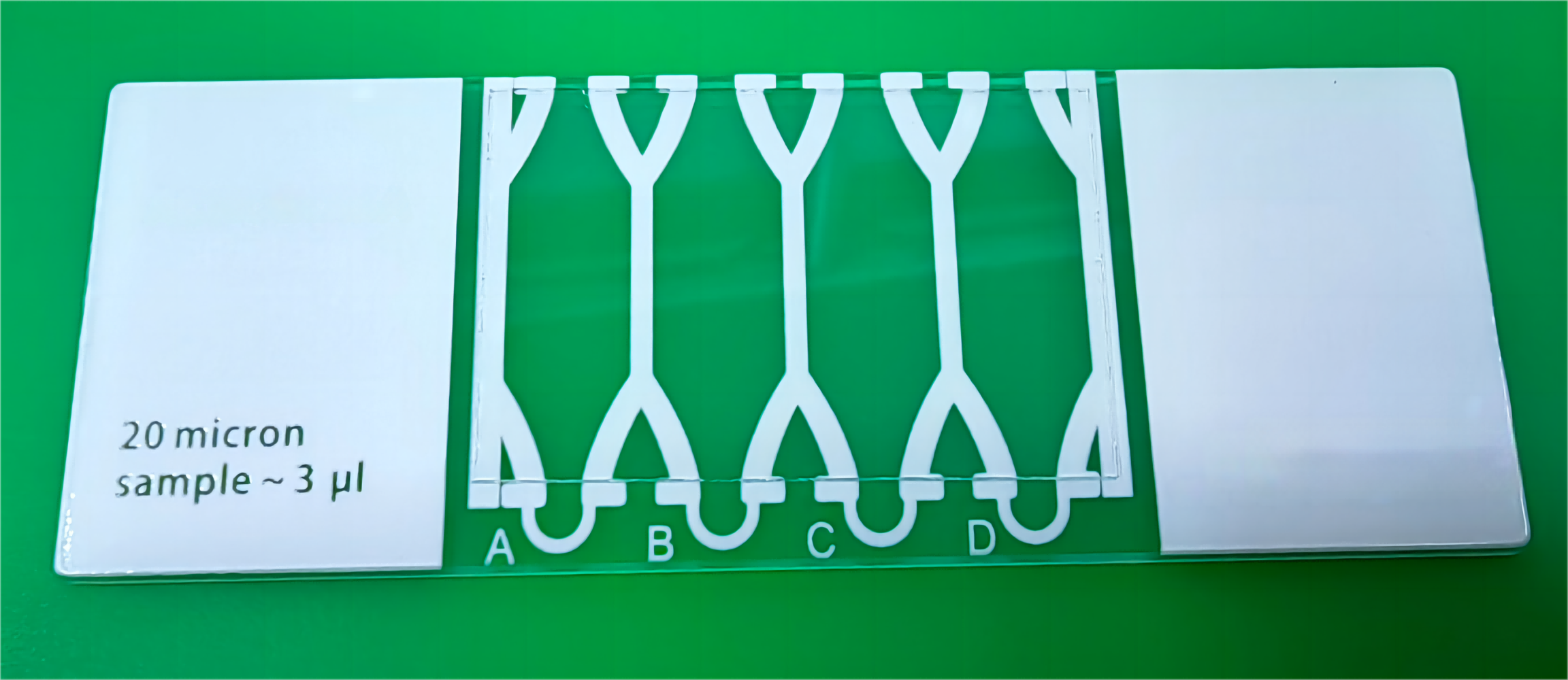 医院男科生殖实验室CASA一次性精子计数板应用于自动电脑计算机辅助精子分析系统软件
